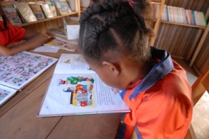 US-NonProfit-Organization-Improving-Literacy- for-African-Children
